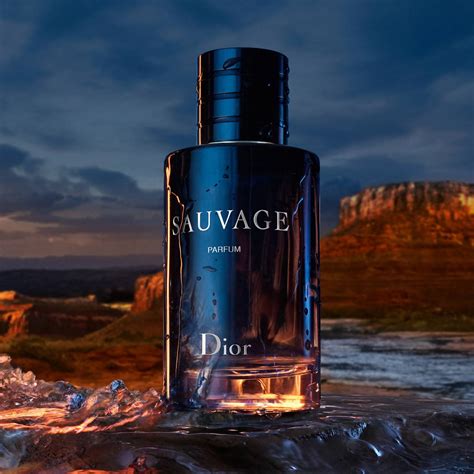 dior sauvage parfum angebot|dior sauvage cheapest price.